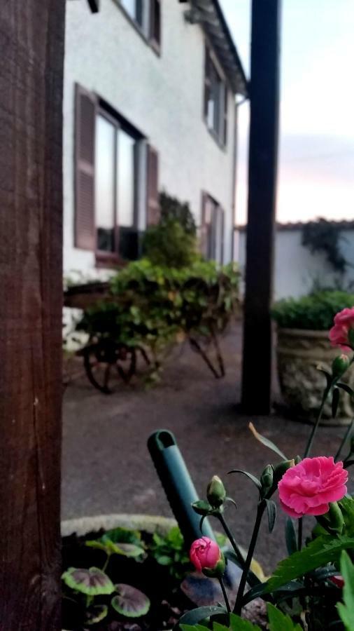 Miltons Country Lodge Lower Langford Esterno foto
