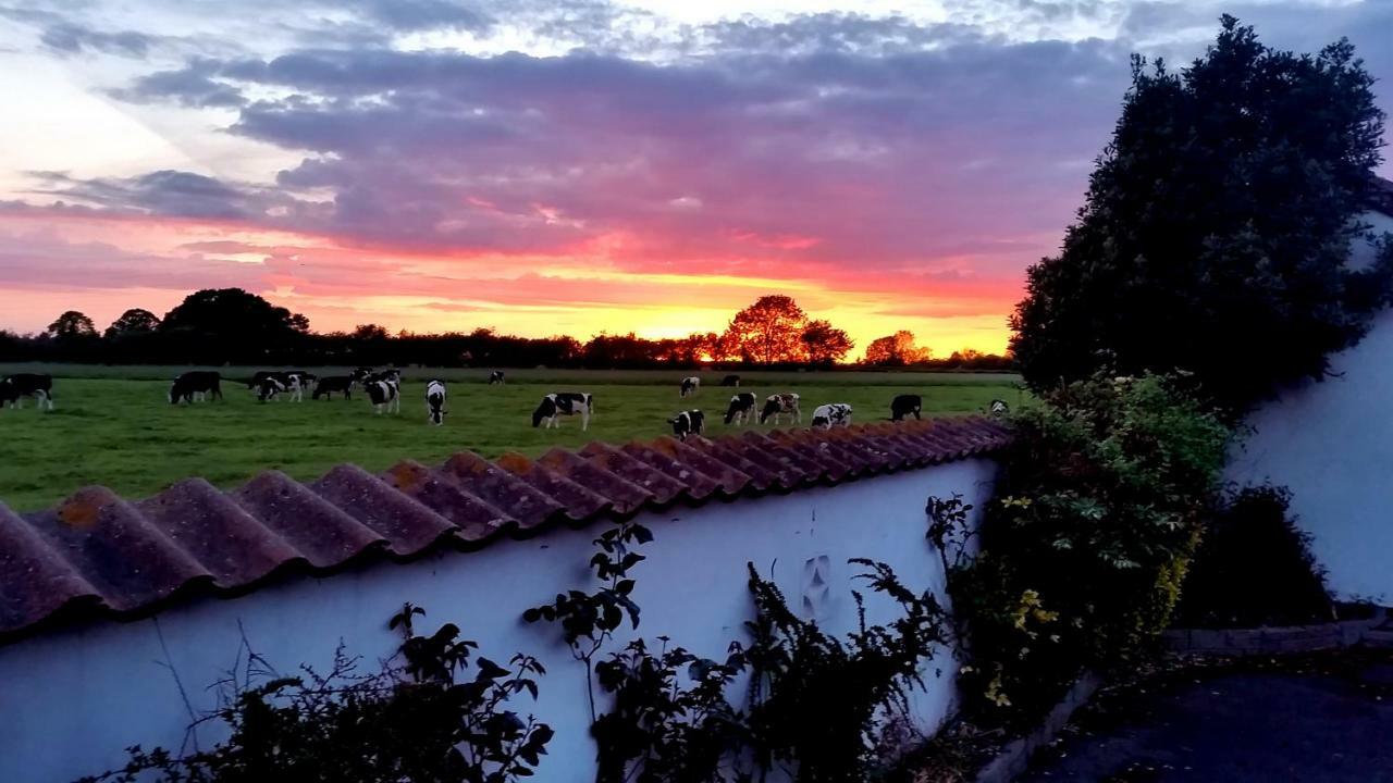 Miltons Country Lodge Lower Langford Esterno foto
